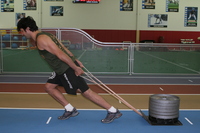 MMA sled training